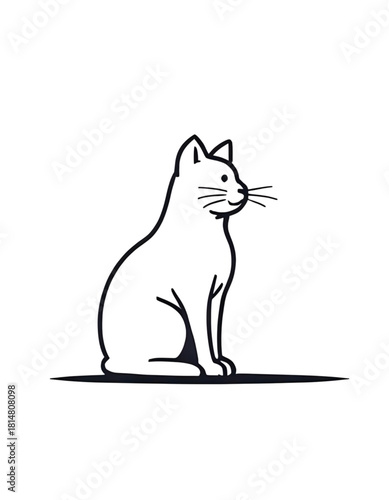 black cat on white background