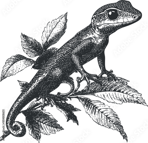 Detailed black and white vector illustration of a lizard perched on a branch with leaves, perfect for nature and wildlife projects