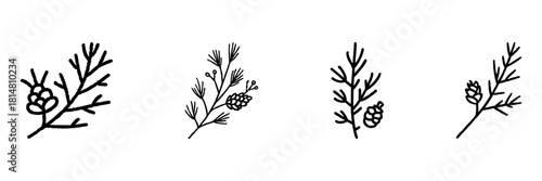 Pine Branches With Cones Line Icon Set In Doodle Style. Nature, Botanical Elements, And Evergreen Foliage Outline Sketch Collection. Hand Drawn Isolated Vector Illustration