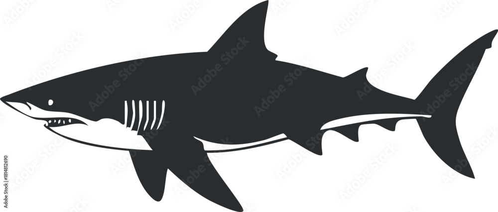 Obraz premium Stylized black and white vector illustration of a shark, ideal for marine and wildlife themes in design projects.