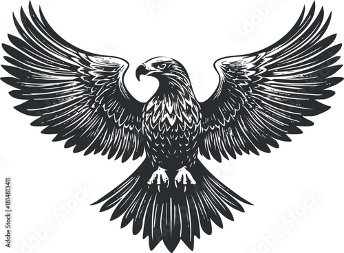 Detailed black and white vector illustration of a majestic eagle with spread wings, suitable for wildlife themes and branding projects