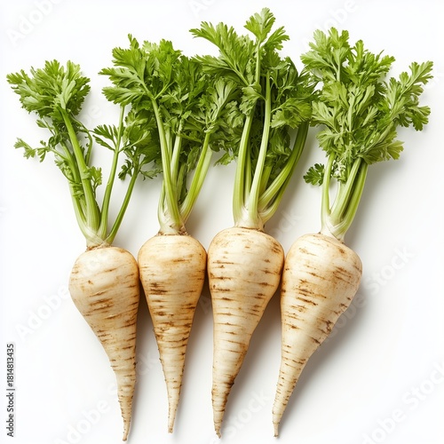 Fresh Parsnips With Vibrant Green Tops Ready for Cooking and Healthy Meals