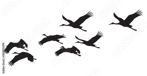 Flying crane silhouettes