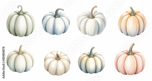 Soft blue pumpkin watercolor collection. Rustic blue autumn pumpkin isolated on white background.