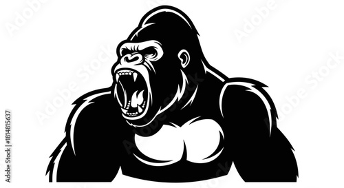 Powerful gorilla with open mouth and fierce expression black and white image.