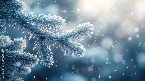 Frosted Pine Branch Glistens in a Snowy Winter Scene With Soft Sunlight