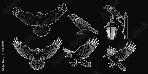 Six black ravens in various poses including flying and perched on a lamp crow bird
