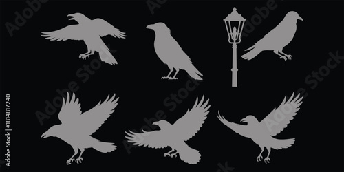 Six grey bird silhouettes including crows and a street lamp on black raven