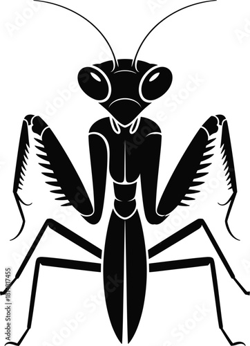 Black praying mantis insect graphic illustration on white background animal wildlife