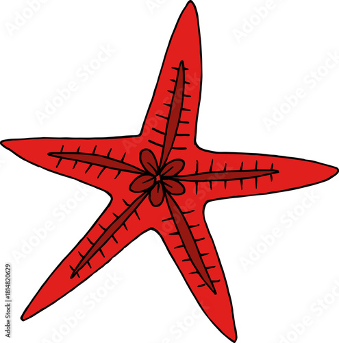 A wonderful red starfish on a white background. vector image..eps