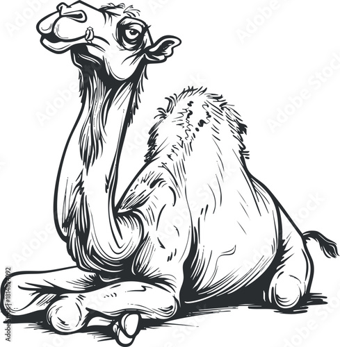 Stylized black and white vector illustration of a relaxed camel, perfect for wildlife-themed designs and educational materials