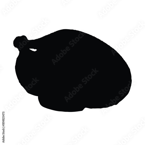 Silhouette of a whole roasted chicken on white background bird