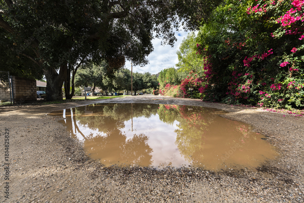Obraz premium Mud puddle on rural dirt road in suburban Chatsworth California.