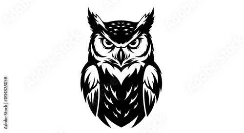 Detailed Black and White Owl Illustration with Intense Gaze.