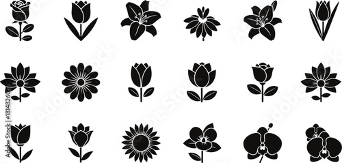 Assorted flower silhouette vector set for floral design