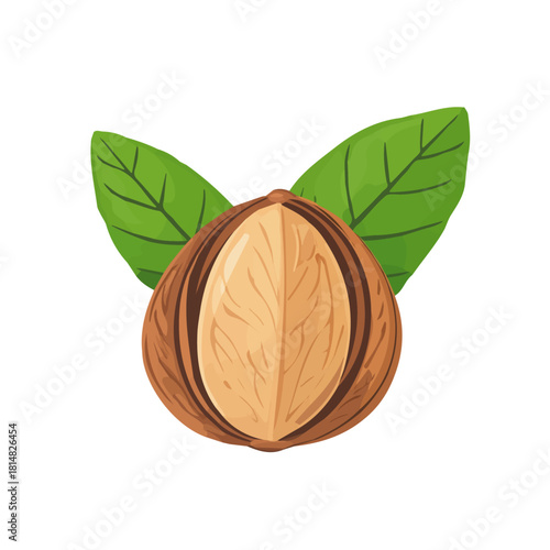 Nutmeg, 2D flat vector illustration, simple and modern style, isolated on a plain white background.