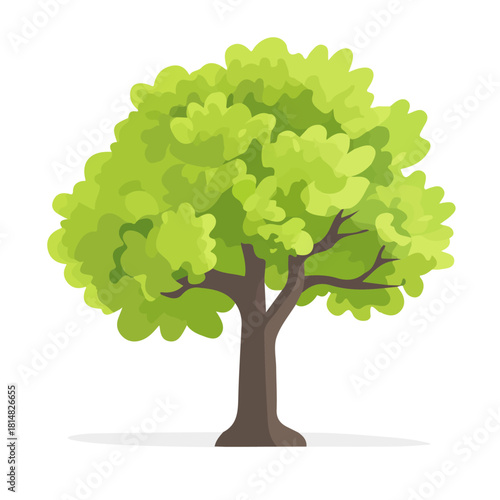 2D flat vector illustration of Plane Tree, clean and minimal icon style, isolated on white background.