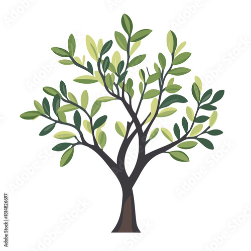 Olive Tree Sapling, modern 2D flat vector illustration in icon style, isolated on pure white background.