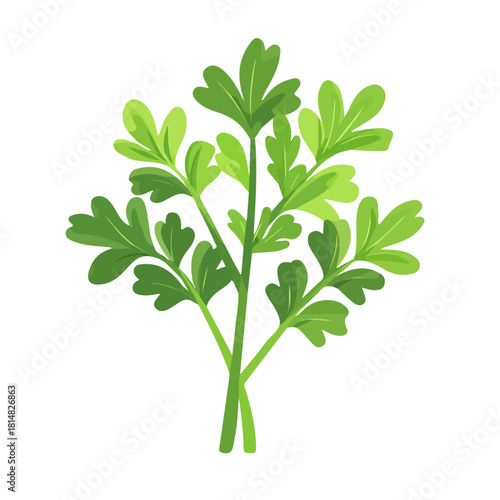 Minimal 2D vector illustration of Parsley in flat icon style on a plain white background.
