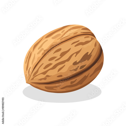 Nutmeg, 2D flat vector illustration, simple and modern style, isolated on a plain white background.
