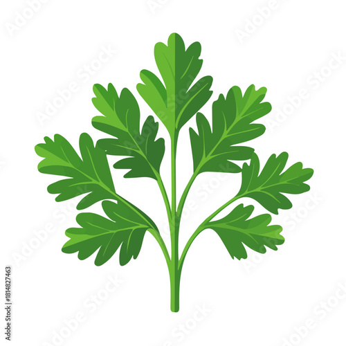 Parsley Leaf in a clean 2D flat vector icon style, minimal and simple, set on a plain white background.