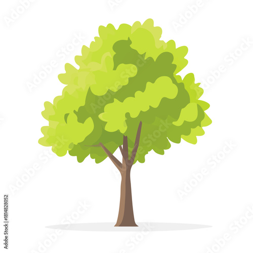 Plane Tree, 2D flat vector illustration, simple and modern style, isolated on a plain white background.