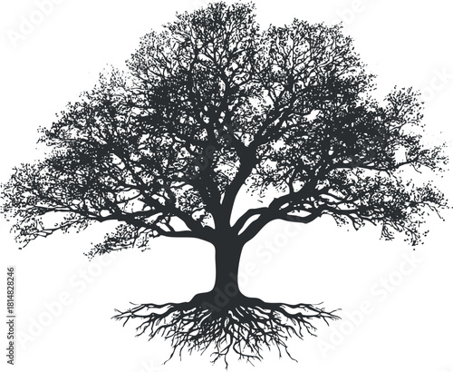 Silhouette vector illustration of a majestic tree with intricate branches and roots, ideal for nature-themed designs.