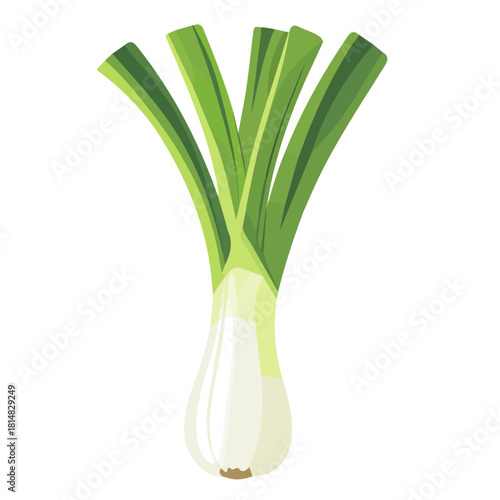 Flat 2D vector illustration of Leek, simple icon style on a clean white background.