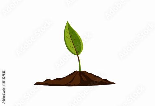 Single Green Leaf Sprouting from Rich Brown Soil on White Background Represents New Growth and Environmental Harmony in Nature