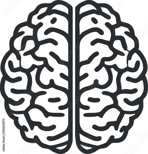 Outline vector illustration of a human brain design, suitable for educational and psychological concepts.