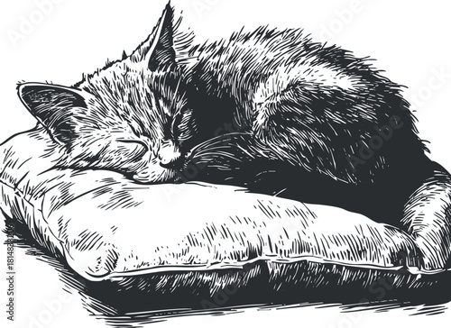Black and white vector illustration of a sleeping cat on a pillow, perfect for pet-themed designs and artworks