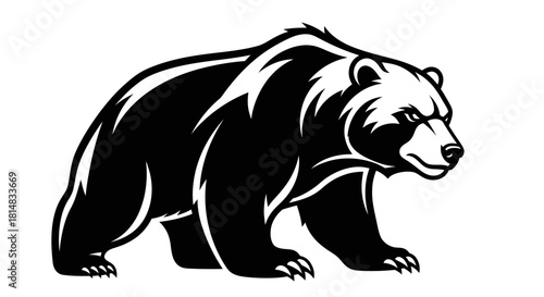 Powerful black and white grizzly bear walking illustration.