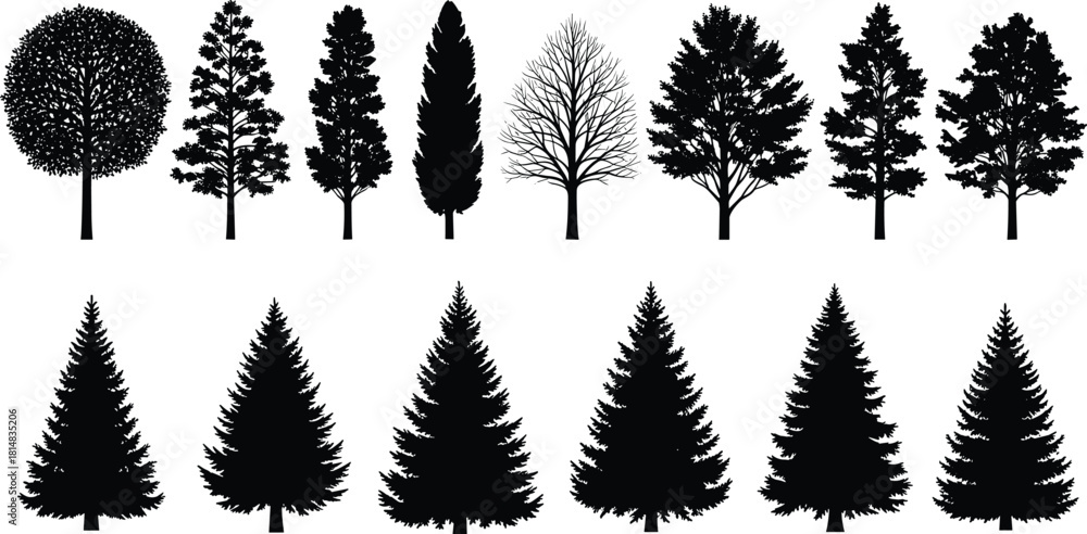 Fototapeta premium Tree silhouette, conifer shape, deciduous tree, forest icon, botanical graphic, nature symbol, black vector, foliage design, flat vector illustration