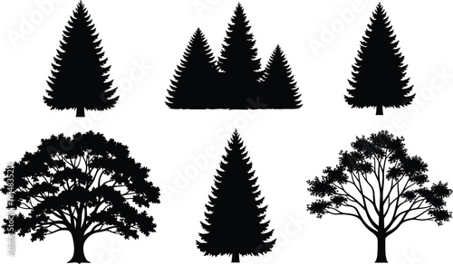 Tree silhouette, conifer shape, deciduous tree, forest icon, nature graphic, black vector, botanical design, landscape element, flat vector illustration
