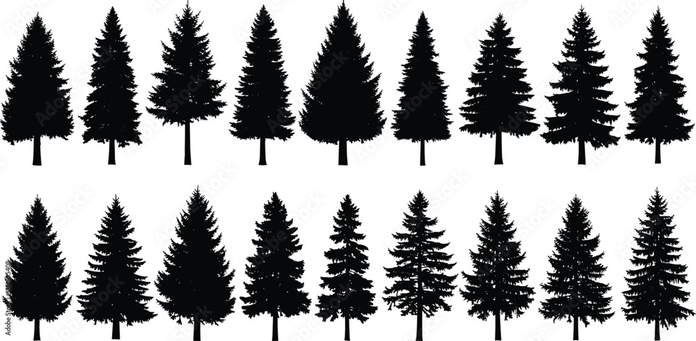 Fototapeta premium Conifer tree, evergreen silhouette, forest icon, pine shape, botanical graphic, nature symbol, black vector, foliage design, flat vector illustration