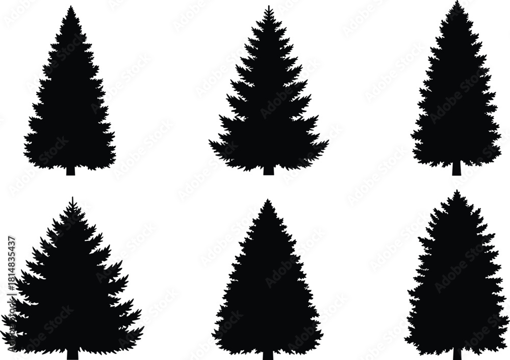Obraz premium Conifer tree, pine silhouette, evergreen forest, nature icon, black vector, botanical shape, winter tree, outdoor symbol, flat vector illustration