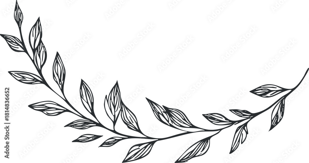 Fototapeta premium Stylized line art illustration of a flowing vine with leaves, perfect for floral design and decorative projects