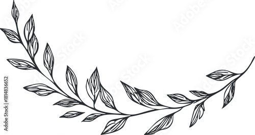 Stylized line art illustration of a flowing vine with leaves, perfect for floral design and decorative projects