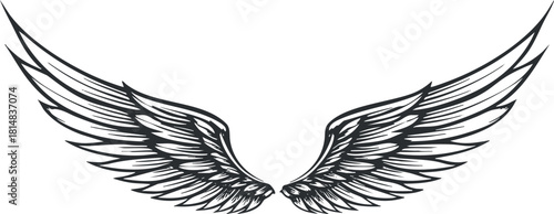 Stylized black and white vector illustration of angel wings, perfect for design projects, tattoos, or branding.