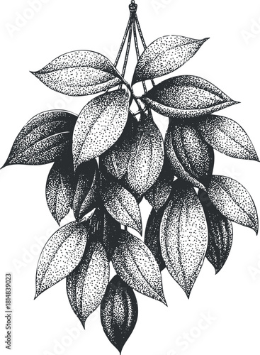 Detailed black and white vector illustration of hanging leaves, ideal for botanical-themed designs and eco-friendly projects