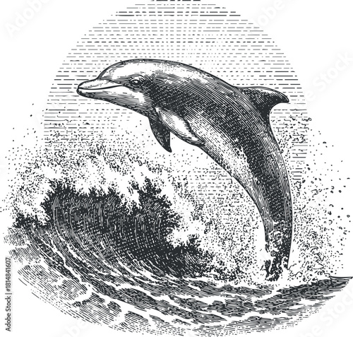 Detailed vintage vector illustration of a dolphin jumping over ocean waves, ideal for marine life projects or eco-themed designs