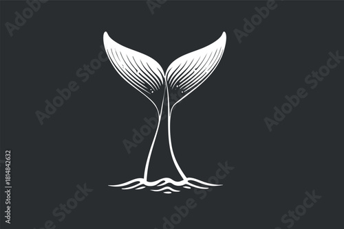 Stylized vector illustration of a whale tail emerging from water, featuring minimalist line art design for eco-themed projects