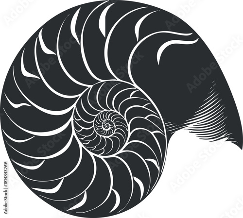 Stylized black and white vector illustration of a nautilus shell showcasing geometric spiral patterns for artistic and design projects