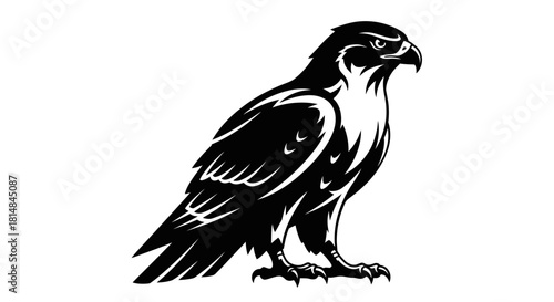 Black and white illustration of a majestic falcon perched attentively.