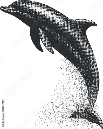 Detailed black and white vector illustration of a dolphin leaping out of the water, ideal for marine-themed designs and artwork