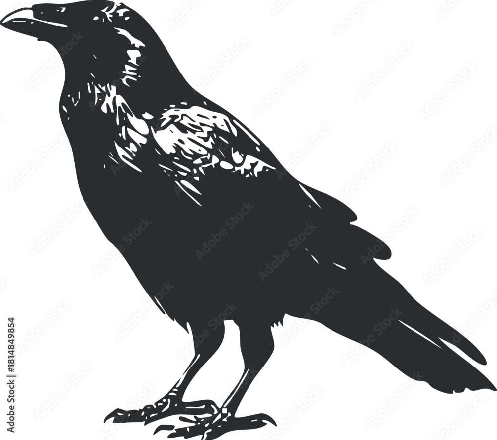 Obraz premium Stylized black silhouette vector illustration of a crow, perfect for nature-themed designs, branding, and creative projects