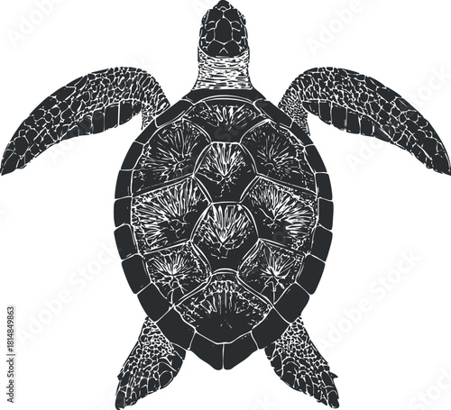 Stylized black and white vector illustration of a turtle, suitable for nature-themed design projects and marine life concepts