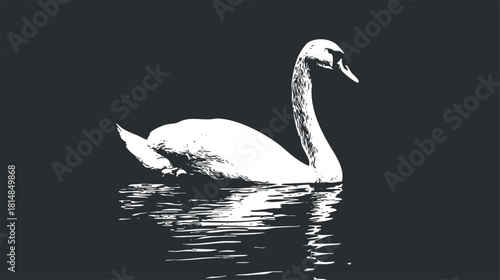 Stylized black and white vector illustration of an elegant swan swimming on water, perfect for nature-themed design projects