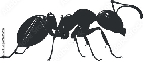 Silhouette vector illustration of an ant, showcasing its detailed anatomy and natural design for educational and ecological projects