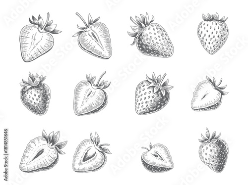 Hand drawn strawberry collection in vintage engraving style. Vintage strawberry fruit set in classic botanical style.
